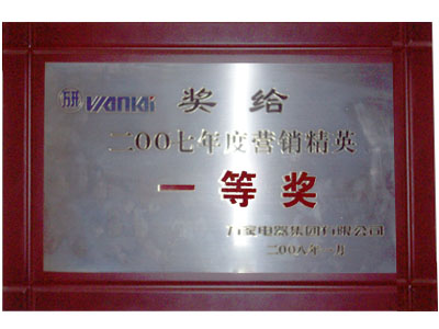 07年度营销精英一等奖